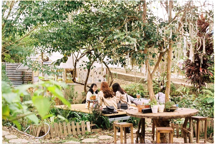Cafe Đà Lạt thiếu mèo.