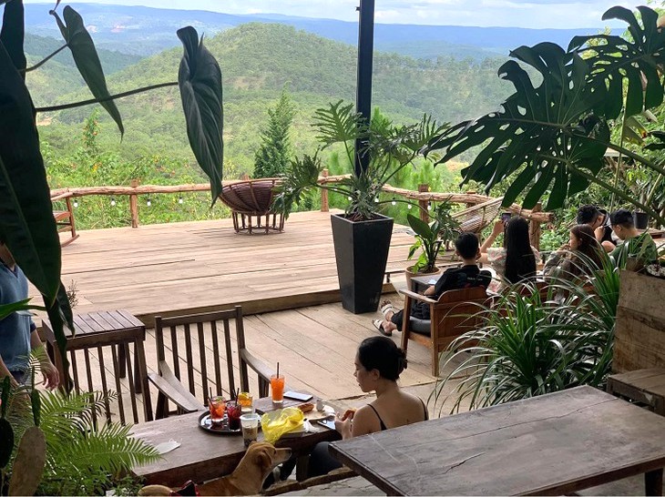 Cafe Cho Da Lat Gau Garden