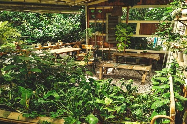 Không gian ở An tràn ngập màu xanh