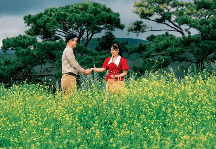 Canh đồng hoa cải trắng Đà Lạt.