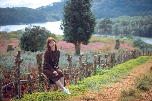 Dia Chi Vuon Hoa Lavender Da Lat