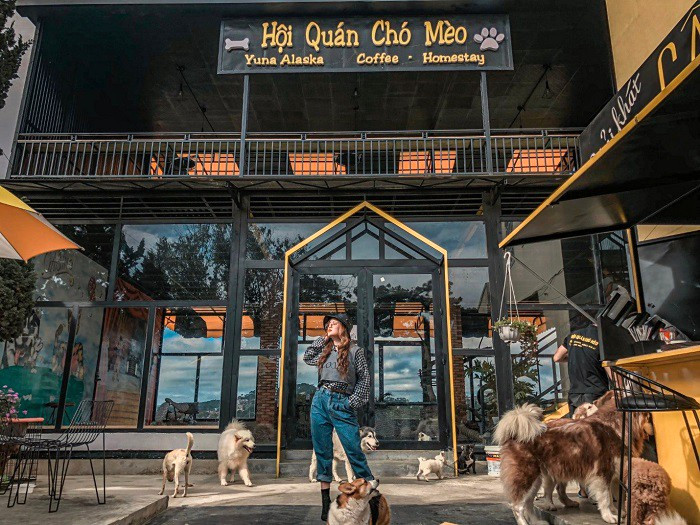 Hội Quán Chợ Mèo Đà Lạt 6