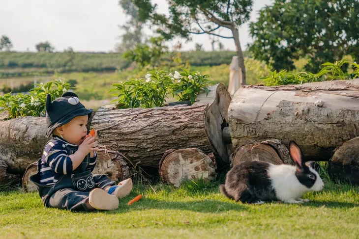 Vuon Hoa Lon Nhat Da Lat