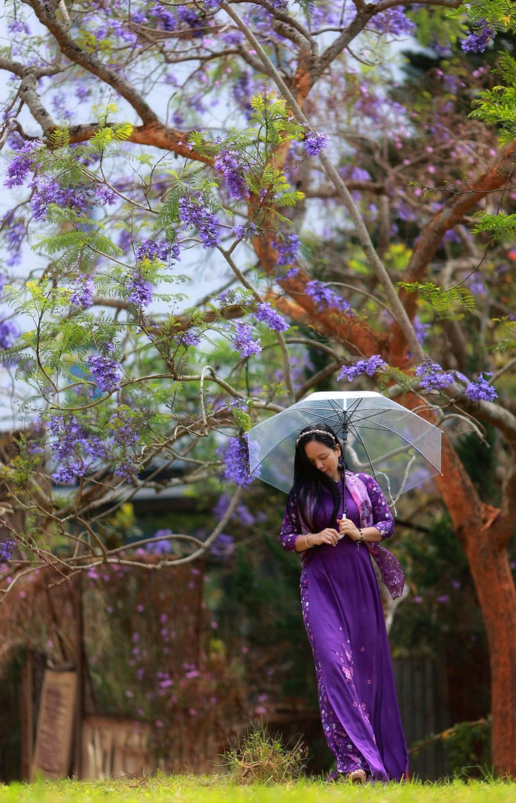 Phuong Tim Da Lat