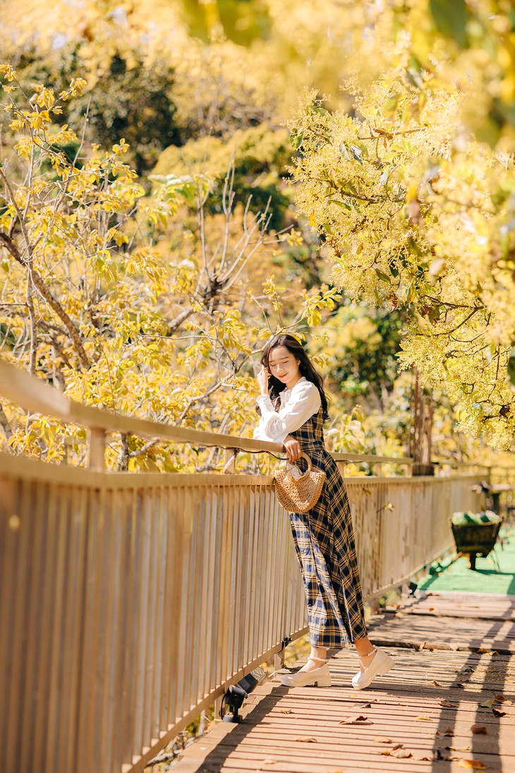 Hoa Bo Da Lat