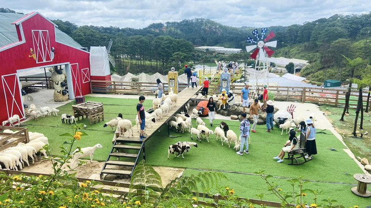 Frenzy Farm