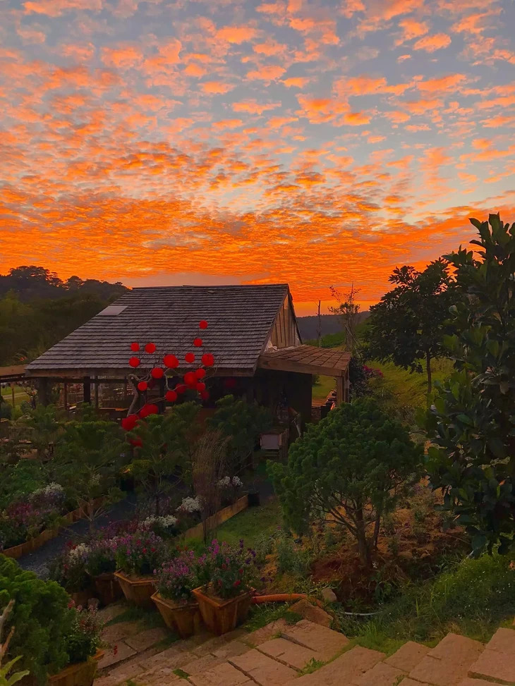 Stt Da Lat Hoang Hon