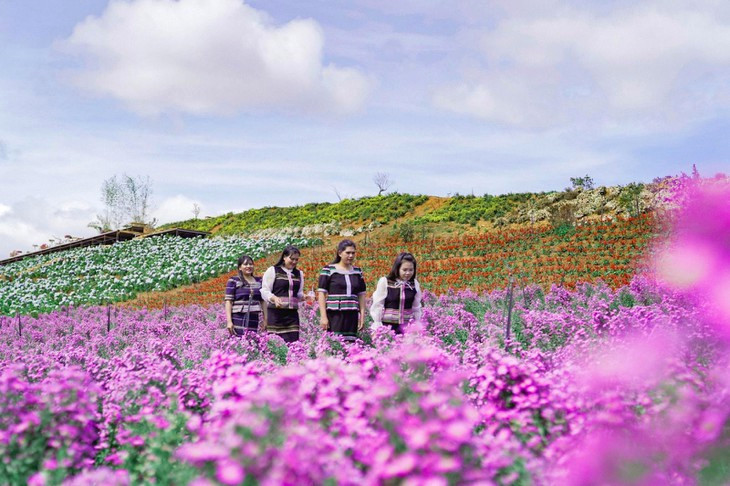 Vườn Hoa Đà Lạt The Florest