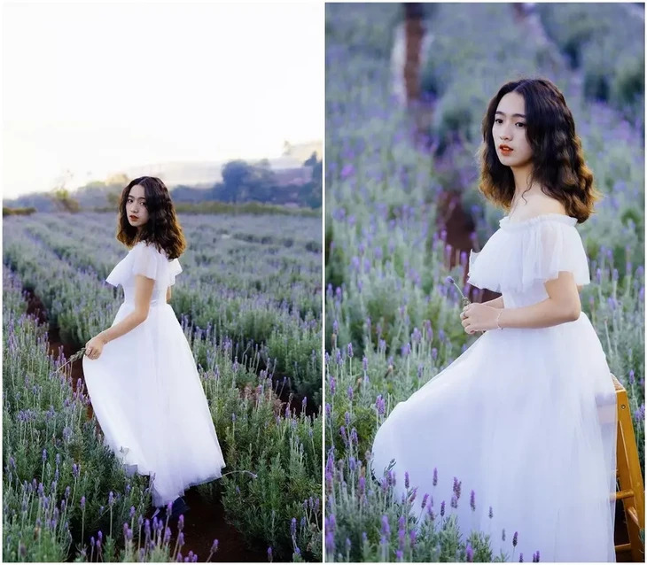 Lavender Tui Thuong Nho