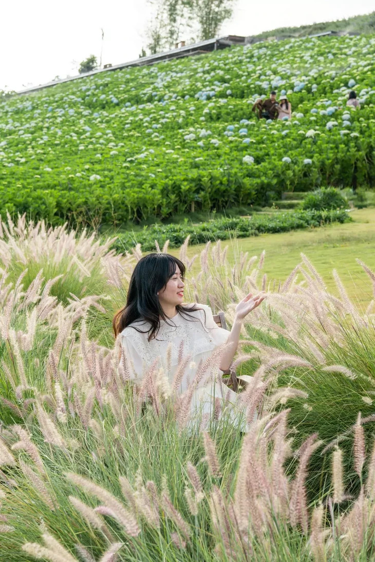 Vuon Hoa Cam Tu Cau Lon Nhat Da Lat