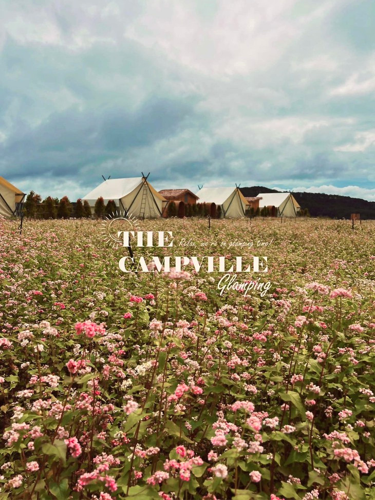 Canh Dong Tam Giac Mach 2