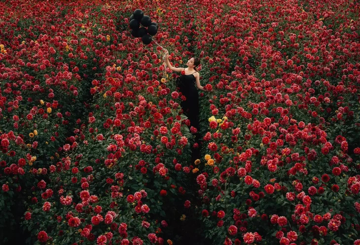 Vuon Hoa Thuoc Duoc Da Lat