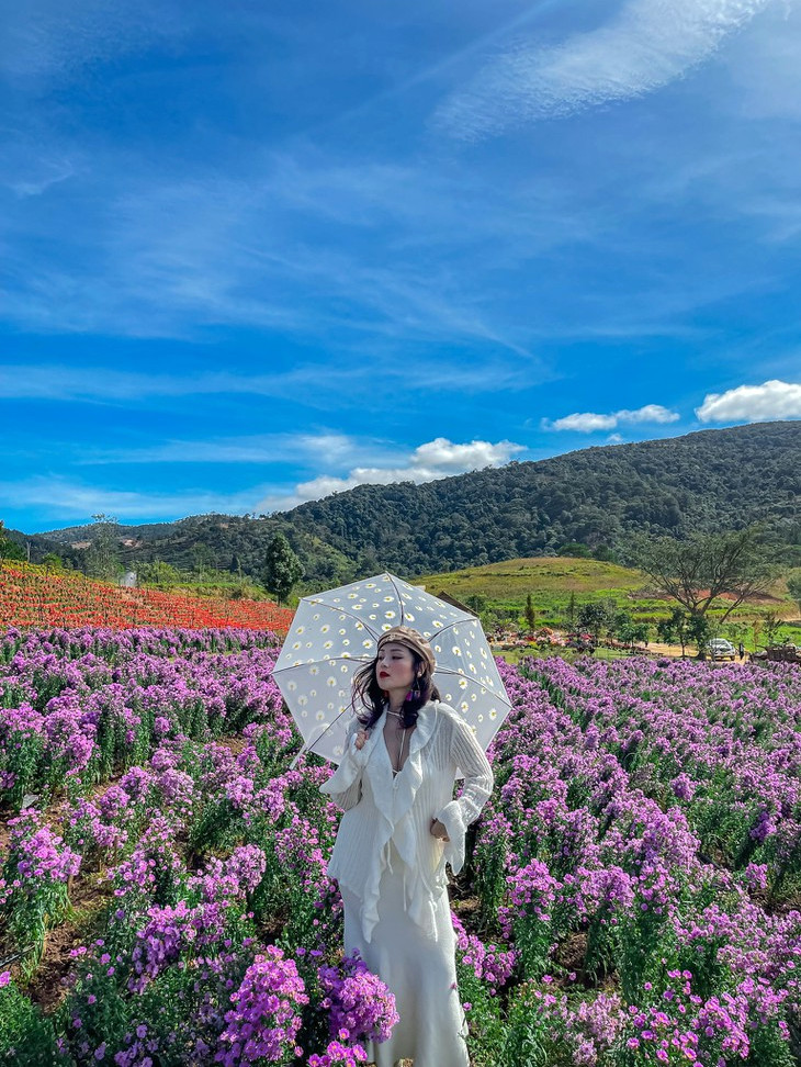 hoa thach thao The Florest 1