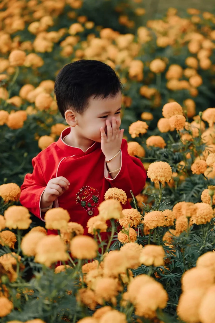 Chup Hinh Tet O Da Lat