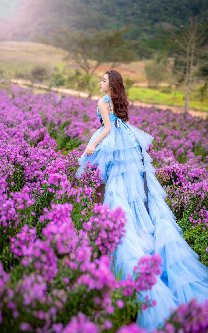 Vườn hoa đá The Florest 2