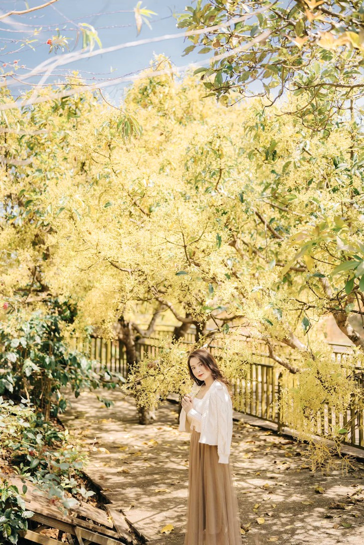 Hoa Bo Moc Tra Farm 1