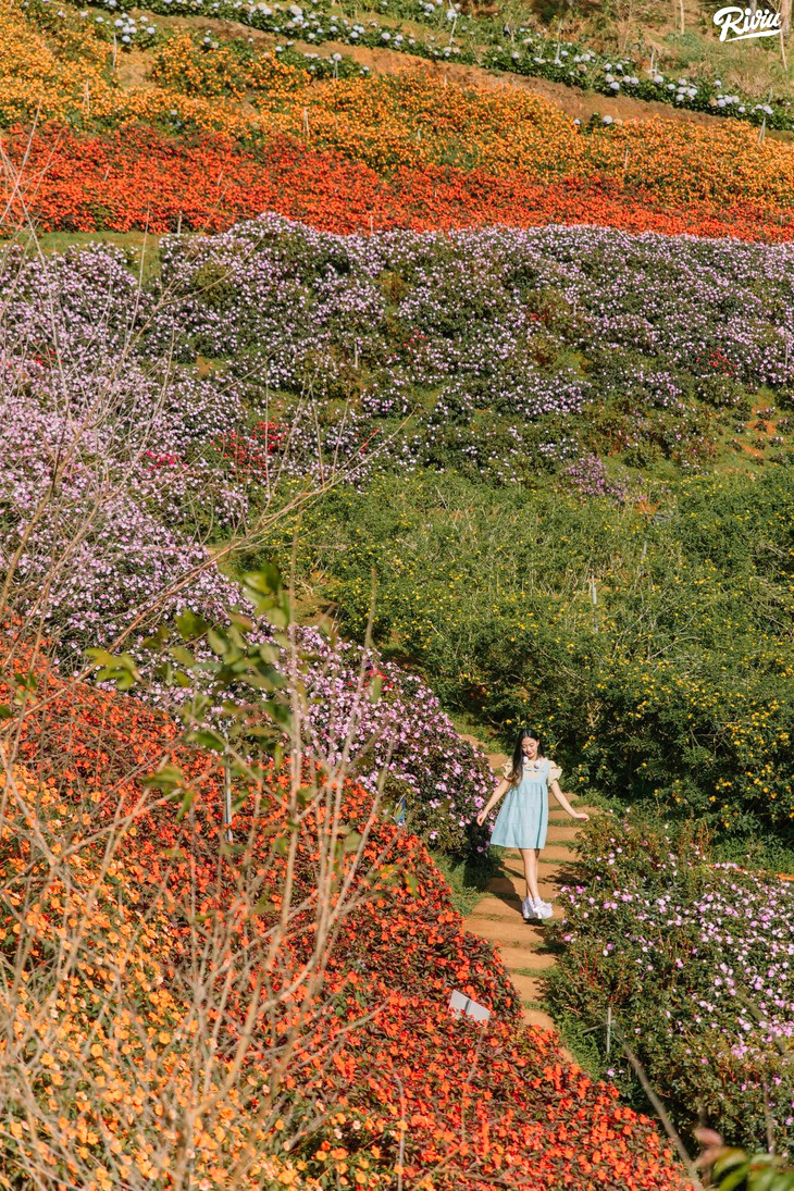 Vuon Hoa Nong Trai Cun