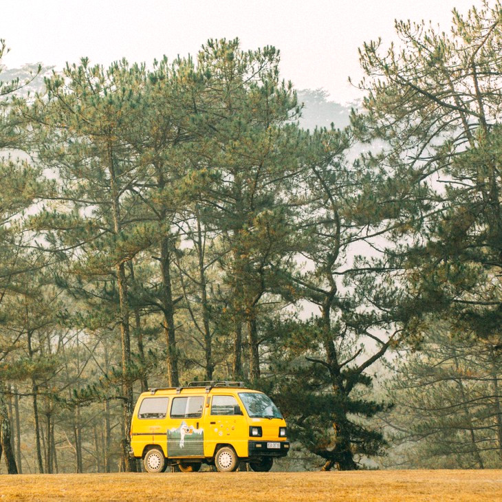 234733868 2238076662995585 4339311589791194301