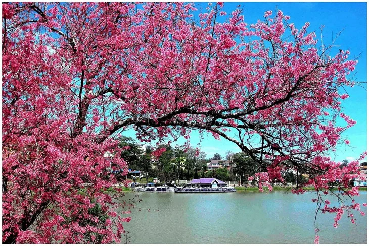 Mai Anh Dao Ven Ho Xuan Huong