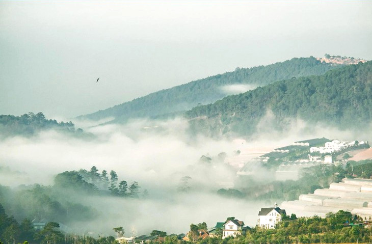 90296605 1366595256853716 8138797119923290112