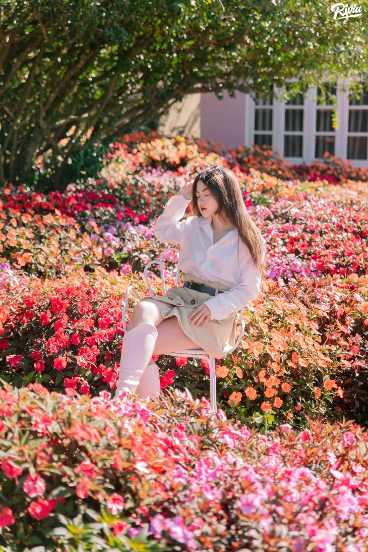 Hoa Ngoc Thao Thao Nguyen Xanh