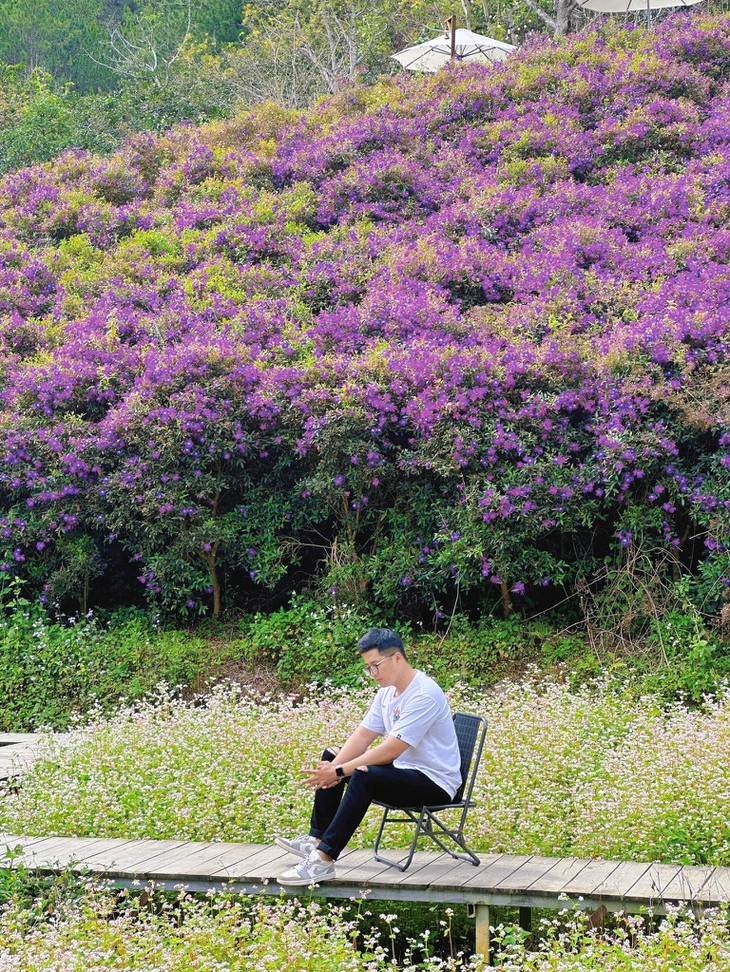 Doi Hoa Sim Tiem Cafe Trong Rung 1