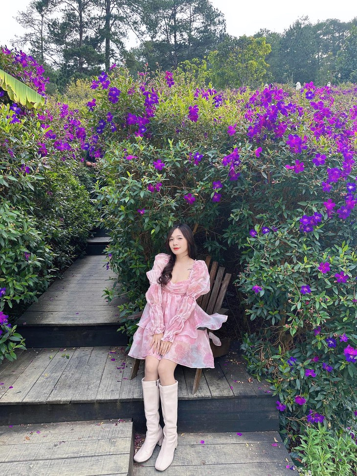 Hoa Sim Tim Tiem Cafe Trong Rung