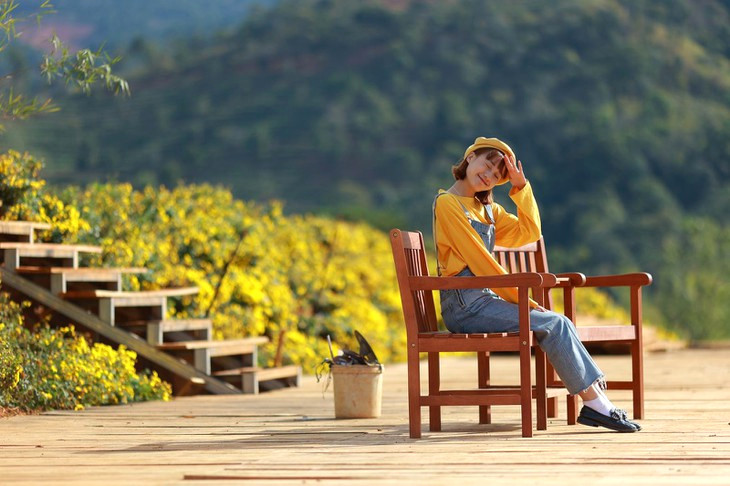 hoa cuc chi The Florest 1