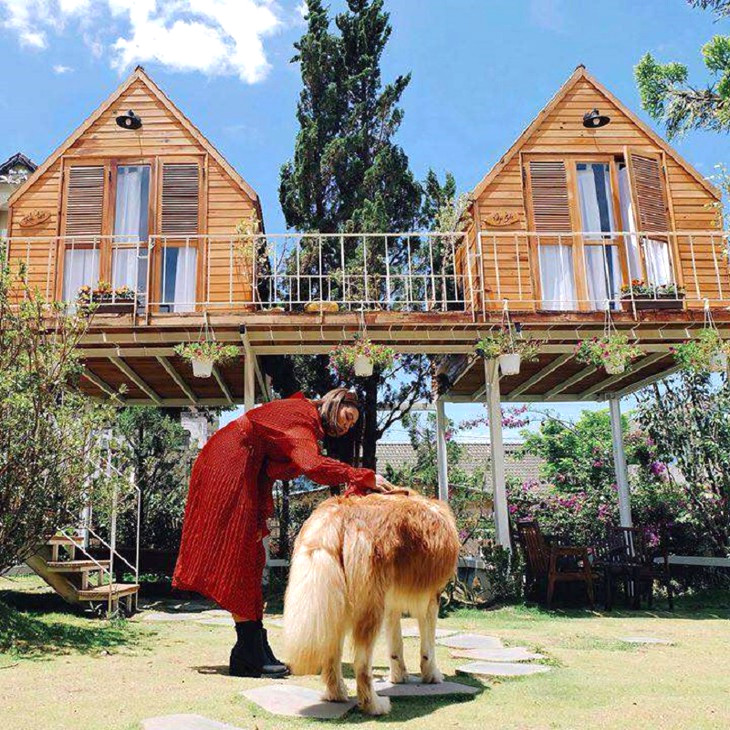 In The Pines Homestay Dalat 4