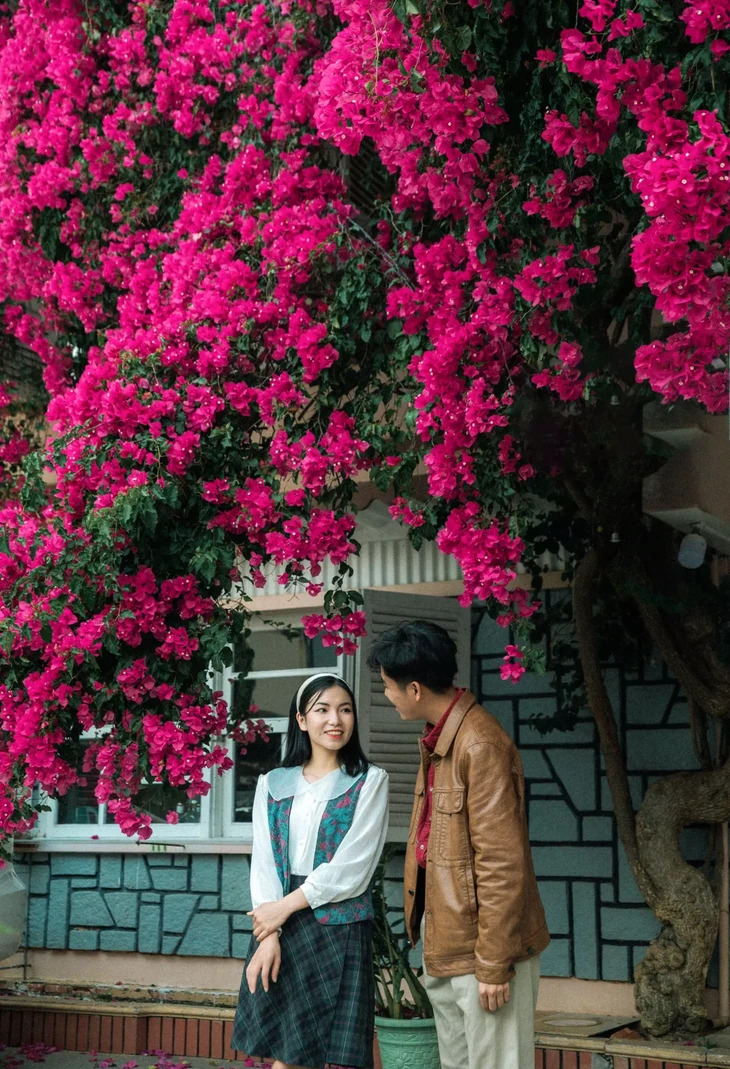 Hoa Giay Tran Nhat Duat Da Lat