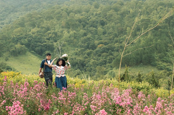 Dia Diem Chup Anh Cap Doi Da Lat