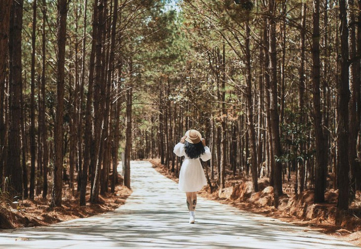 Vườn Hoa Đà Lạt: Đường Vào Rừng