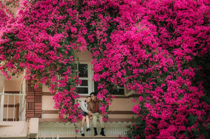 Hoa Giay Tran Nhat Duat 2