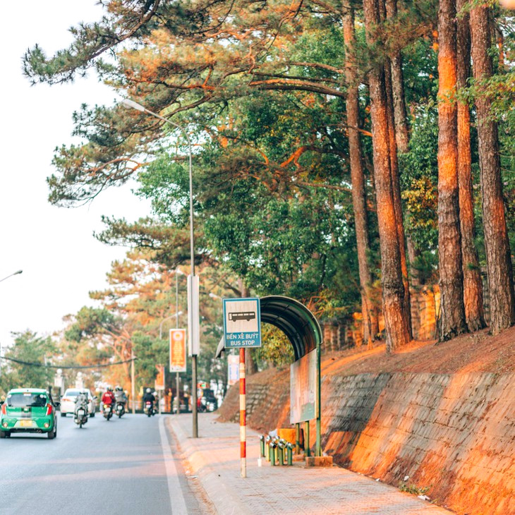 149627998, 2089499011186685, 106024097707170306