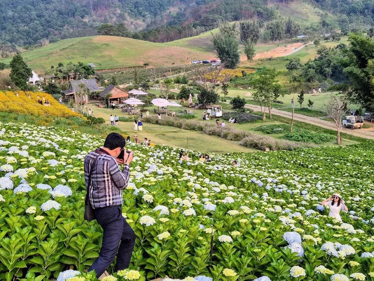 Vuon Hoa Da Lat Lon Nhat
