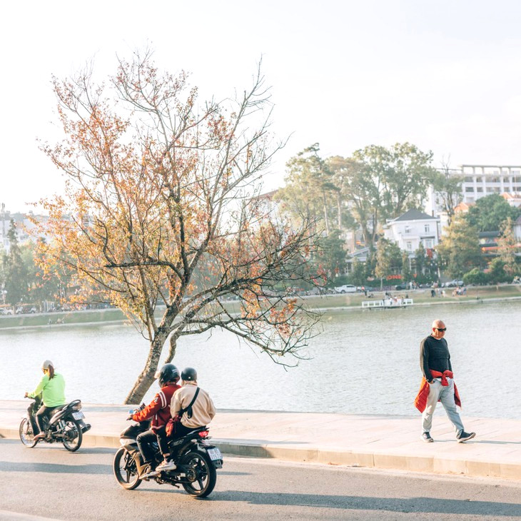 149418550, 2089497921186794, 874586099256477005