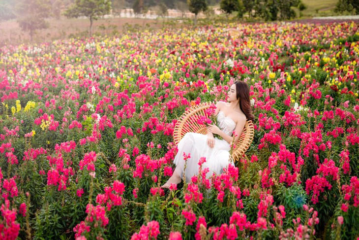 Vườn hoa lớn nhất Đà Lạt