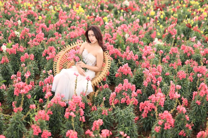 Hoa Mom Soi The Florest