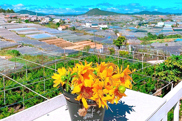 View Doi Nui