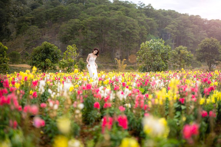 Vườn hoa lớn nhất Đà Lạt.