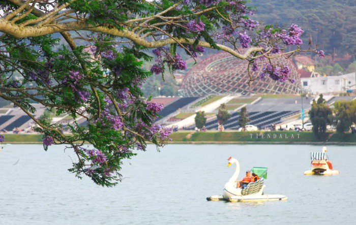 Dap Vit O Ho Xuan Huong