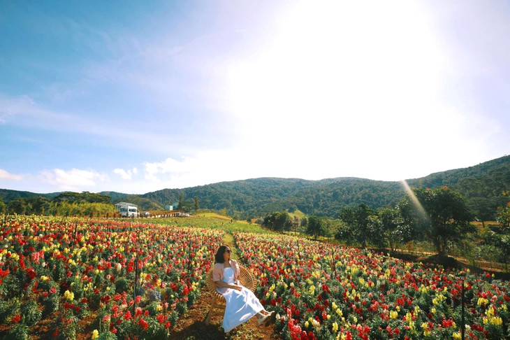 hoa mom soi The Florest 3