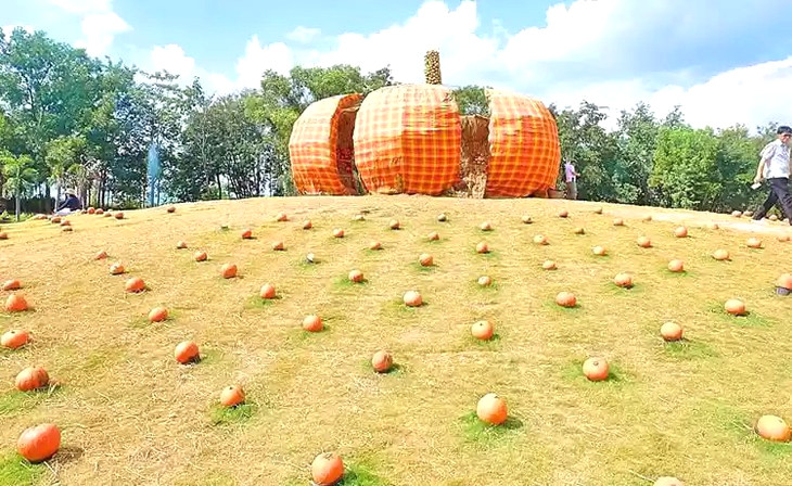 Vườn bí ngô Đà Lạt 🎃