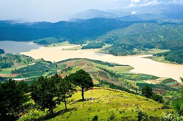 Doi Suoi Vang Da Lat