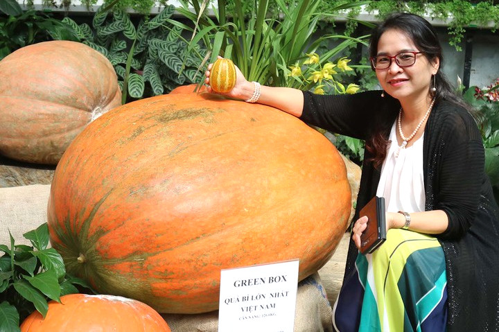 Vuon Bi Ngo Khong Lo Da Lat 5