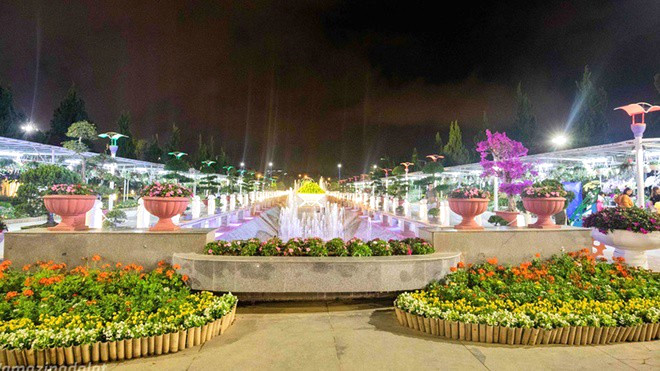 vuon hoa dem da lat