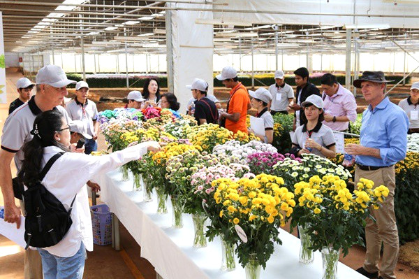 Hasfarm Dalat