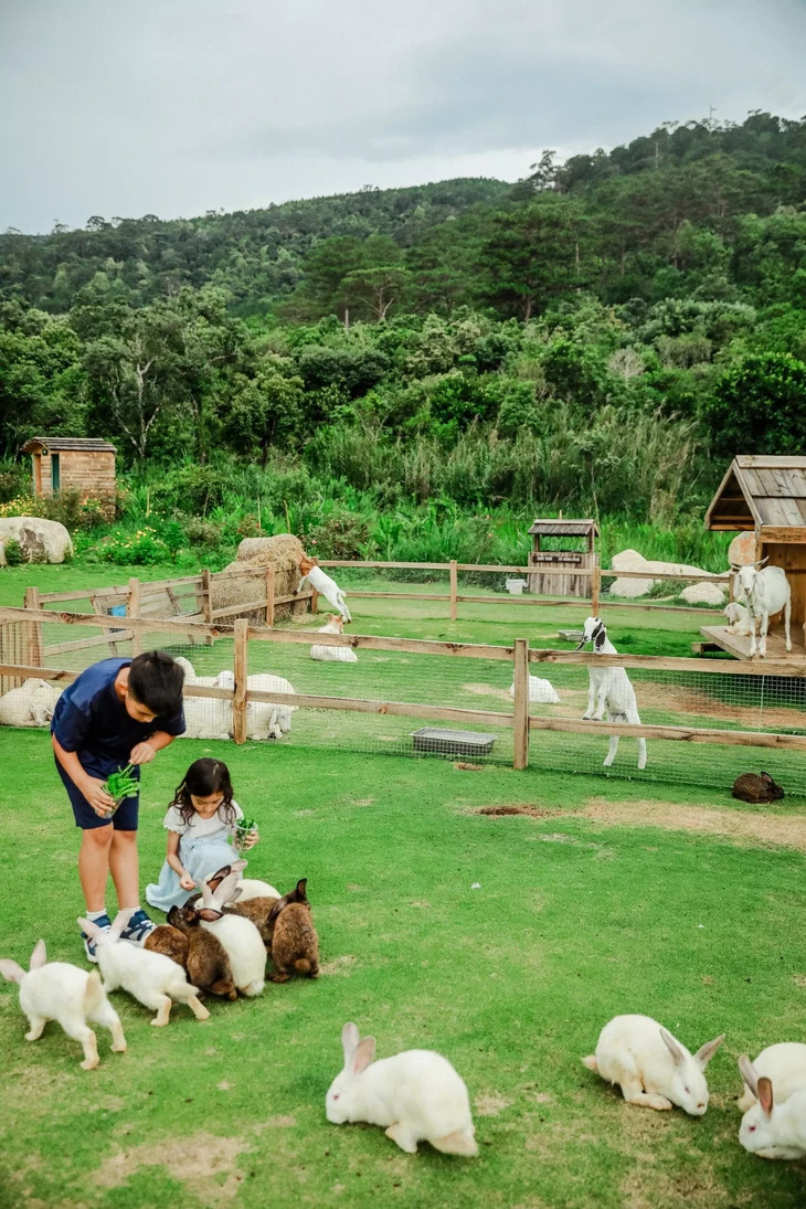 điểm du lịch đà lạt mới 3