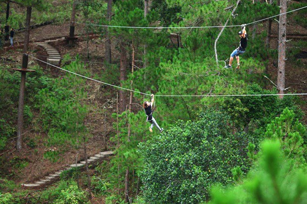 High Rope Course