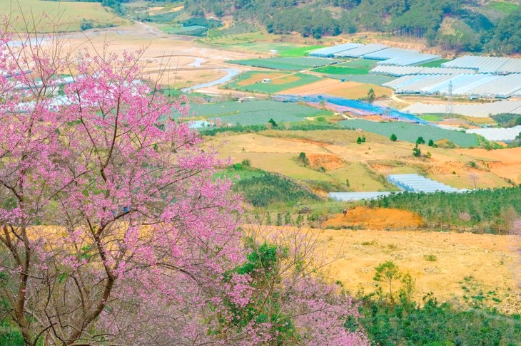 Số lớn, chuỗi số.